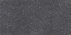 Black shade of double charged vitrified tile