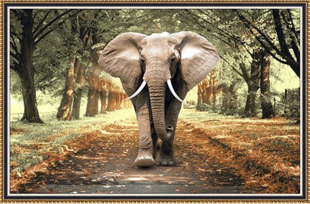 Elephant poster tiles